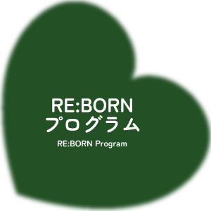 RE:BORNプログラム